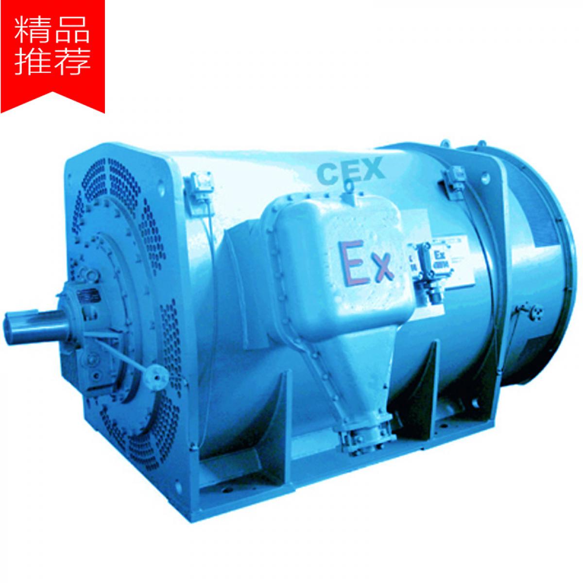 高压YBXKK隔爆型三相异步电动机 (6000V/10000V，机座号500-710，220kW-3150kW，2P-20P，ExdIMb/ExdIIBT4/ExdIICT4，IP55，F级，2级能效)