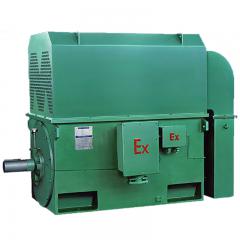 高压YAKK系列增安型三相异步电动机6KV     YAKK（355-1000）2P-20P 6KV